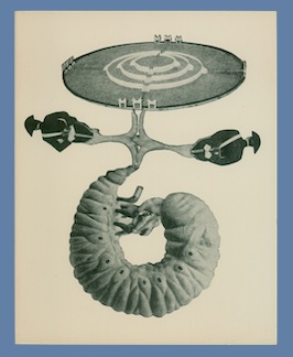 Caesar's Gate: Poems 1949-50.