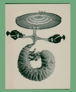 Caesar's Gate: Poems 1949-50.