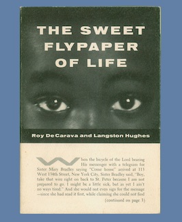 The Sweet Flypaper of Life