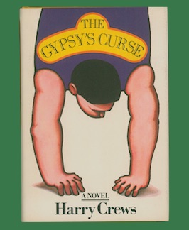 The Gypsy’s Curse: A Novel.